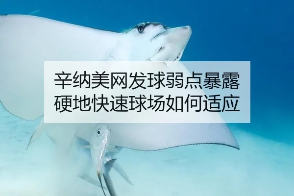 辛纳美网发球弱点暴露 硬地快速球场如何适应