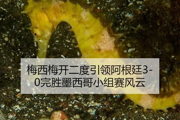 mei-xi-mei-kai-er-du-yin-ling-a-gen-ting-wan-sheng-mo-xi-ge-xiao-zu-sai-feng-yun-2-898.jpg