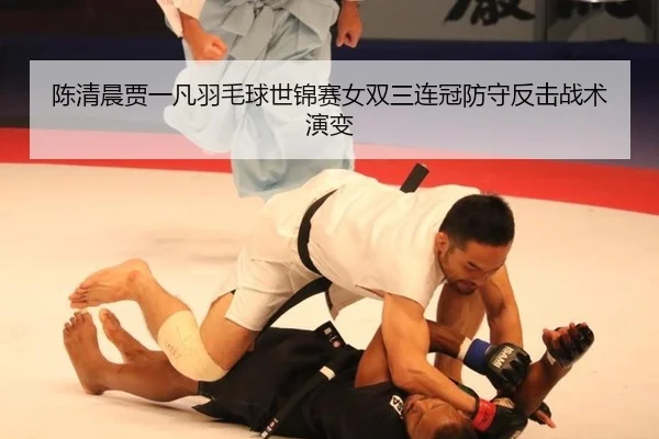chen-qing-chen-jia-yi-fan-yu-mao-qiu-shi-jin-sai-nv-shuang-san-lian-guan-fang-shou-fan-ji-zhan-shu-yan-bian-2-753.jpg