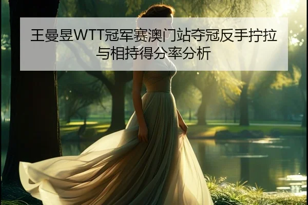 王曼昱WTT冠军赛澳门站夺冠反手拧拉与相持得分率分析